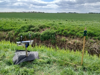 LepiSense on stake with matting