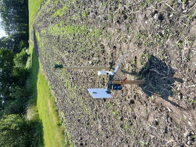 LepiSense on stake without matting